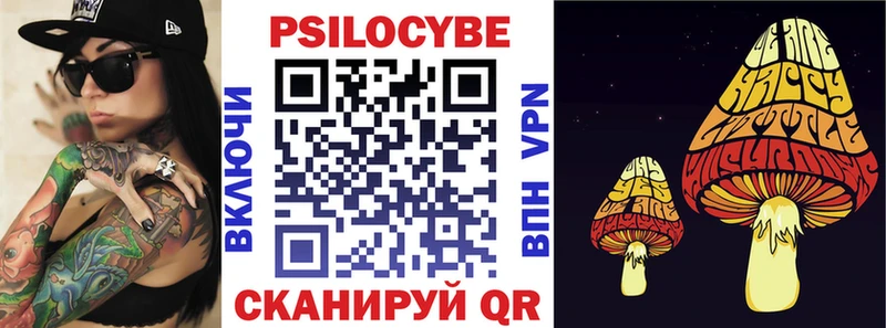 Купить где  Навашино  Галлюциногенные грибы Psilocybine cubensis 